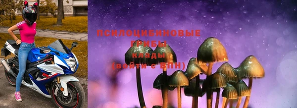 ПСИЛОЦИБИНОВЫЕ ГРИБЫ Баксан