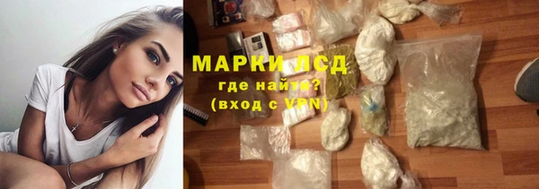прущие грибы Балахна