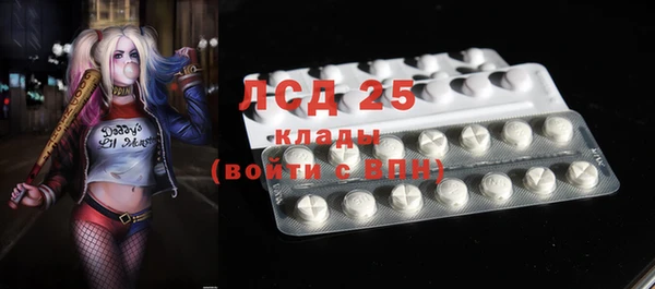 ПСИЛОЦИБИНОВЫЕ ГРИБЫ Баксан