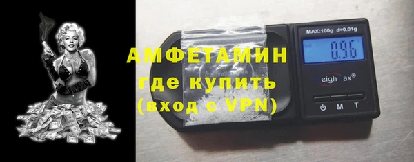 прущие грибы Балахна