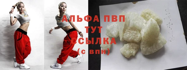 прущие грибы Балахна