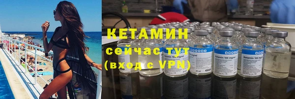 прущие грибы Балахна