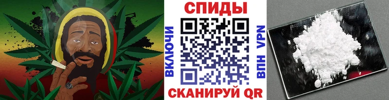 магазин продажи наркотиков  KRAKEN зеркало  Метамфетамин Methamphetamine  Губаха 