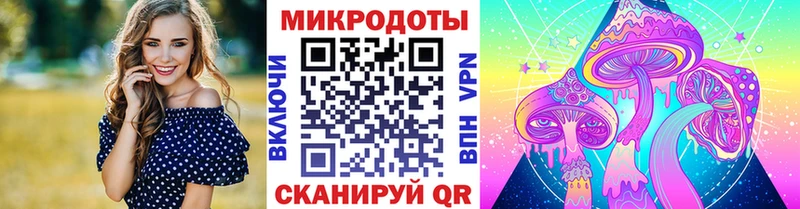 цены наркотик  Губаха  Галлюциногенные грибы Psilocybine cubensis 